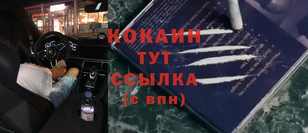 тгк Алзамай