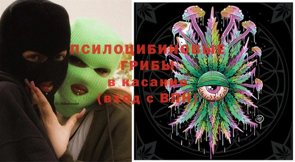 тгк Алзамай