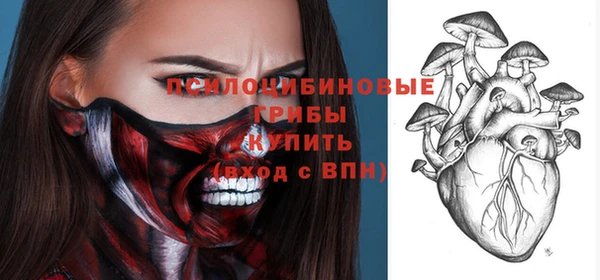 тгк Алзамай